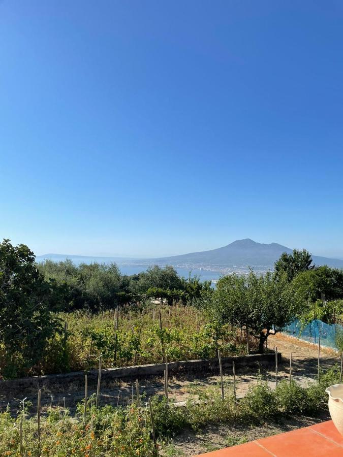 Palipano House Villa Pimonte Eksteriør billede